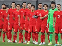 国网球在国