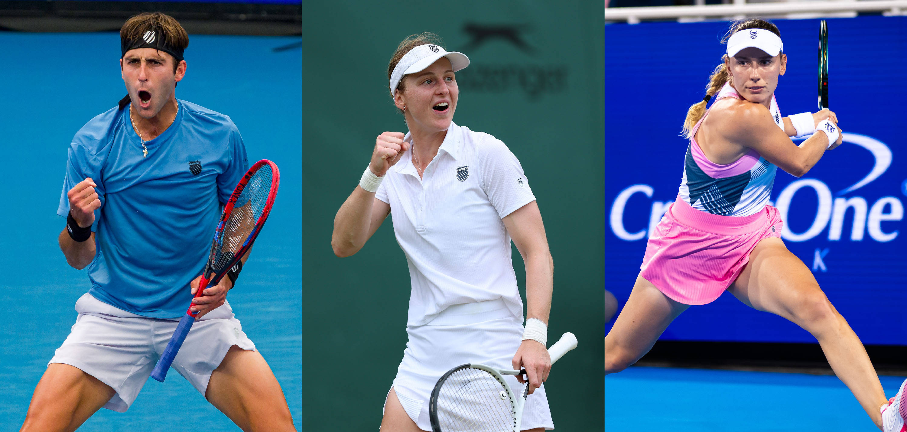 罗迪克用自 罗迪克用自