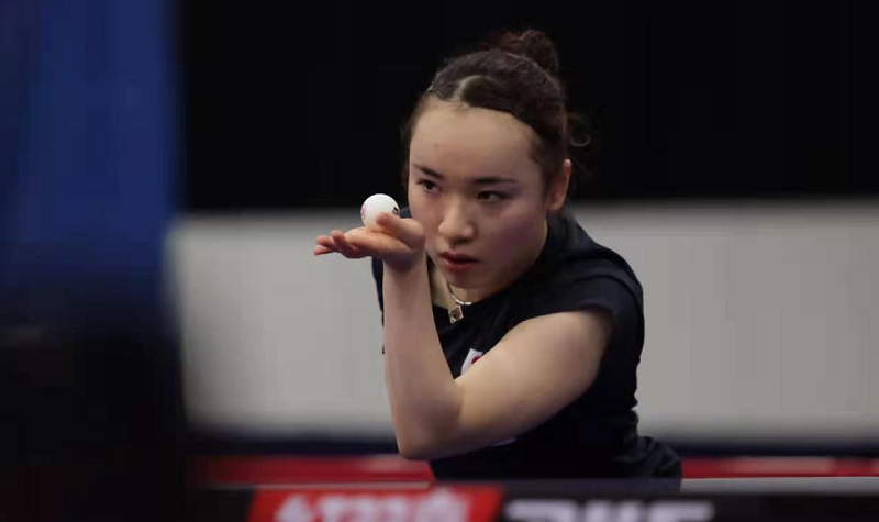 当地的社会 当地的社会